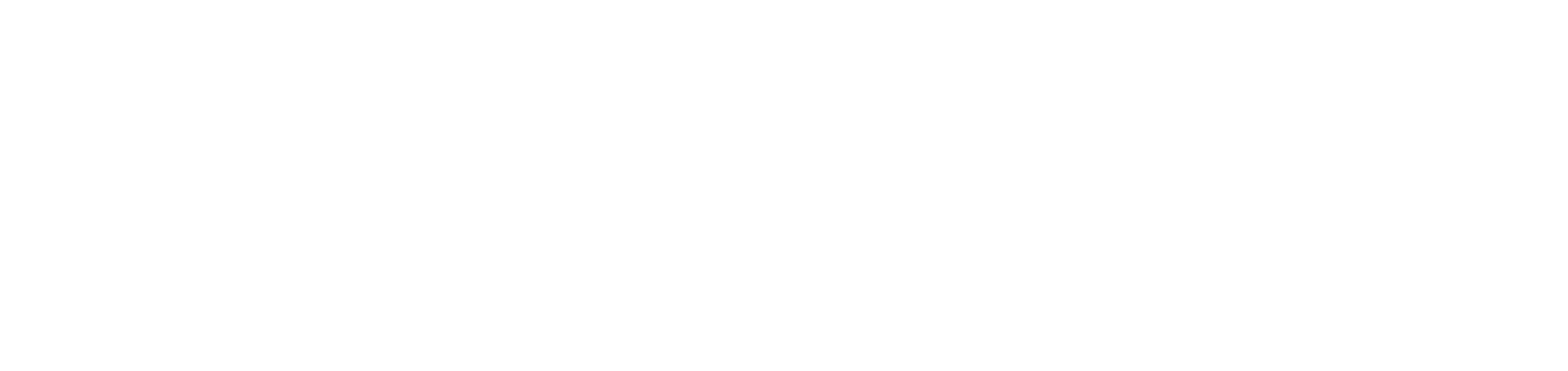 FulFy Logistics